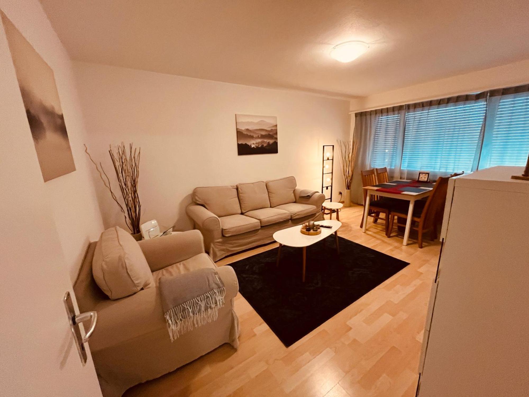 3-Room Apartment For Business Travelers & Families, Free Wifi & Tv With 70 Countries, Dazn, Sky, Netflix & Disney Wynau Buitenkant foto