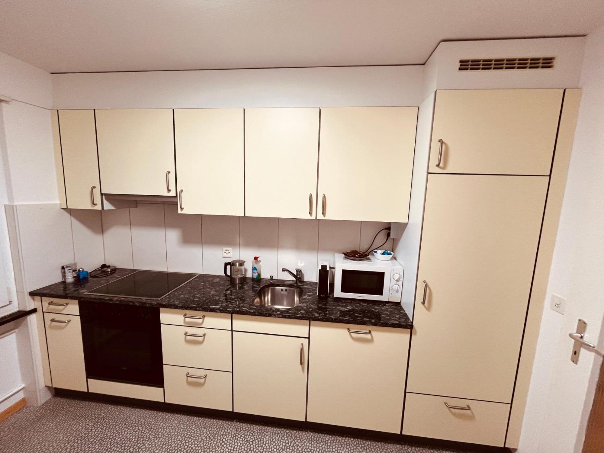 3-Room Apartment For Business Travelers & Families, Free Wifi & Tv With 70 Countries, Dazn, Sky, Netflix & Disney Wynau Buitenkant foto